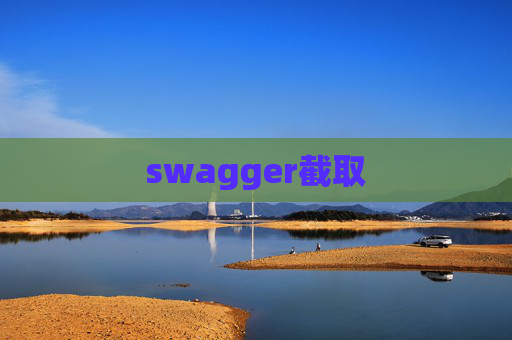 swagger截取